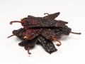 Pasilla Pods.jpg