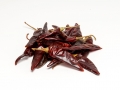 Puya Pods.jpg