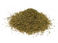 oregano-greek-cut